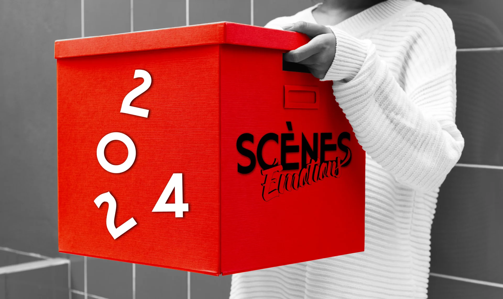 Scènes Émotions Vœux 2024