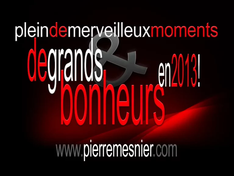 Vœux 2013